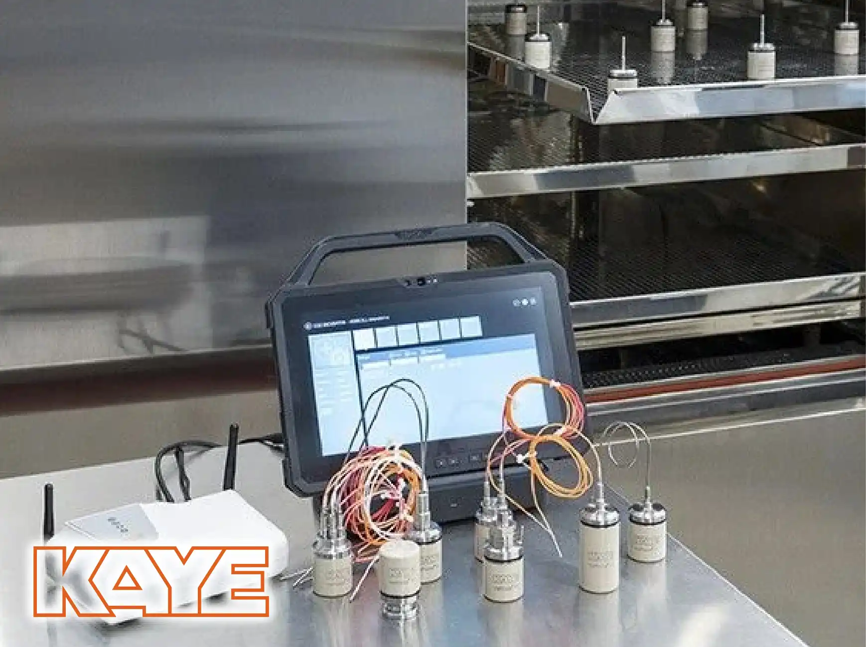 KAYE Wireless (RF) ValProbe RT System.